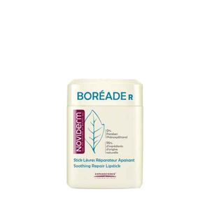 Boréade R Stick Reparador 11ml