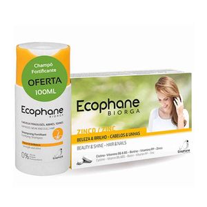 Ecophane Promo Comp 60 + Oferta Champô 100ml