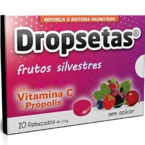 Dropsetas Rebuçado S/ Açucar Frutos Silvestres 10