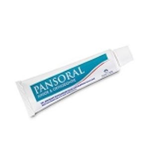 Pansoral Repair Gel Bucal Calm Reparador 15ml